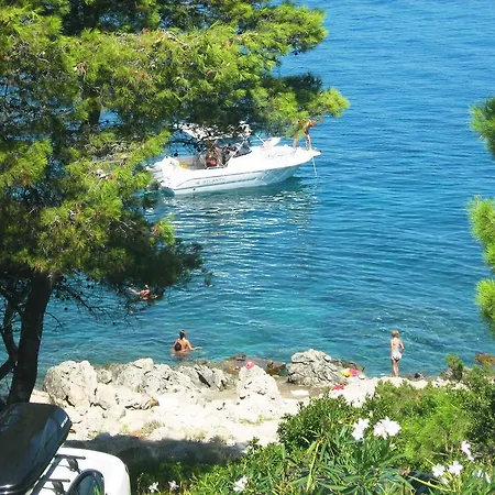 Daire Dobronic Jelsa (Hvar)