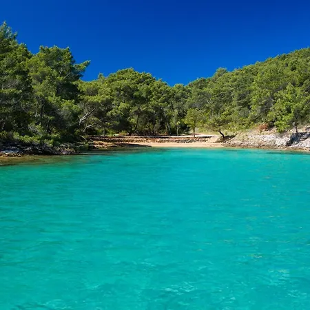 Dobronic Jelsa (Hvar)