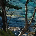 Dobronic Apartment Jelsa (Hvar)
