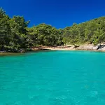 Dobronic Jelsa (Hvar)